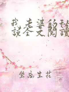 我老婆的秘密小说全文阅读