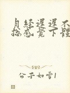 月经迟迟不来,总感觉下体流液体