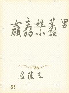 女主姓叶男主姓顾的小说