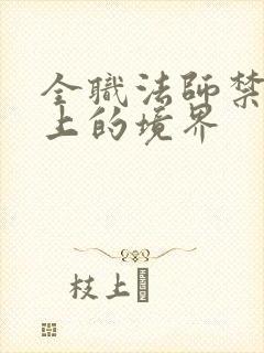 全职法师禁咒之上的境界