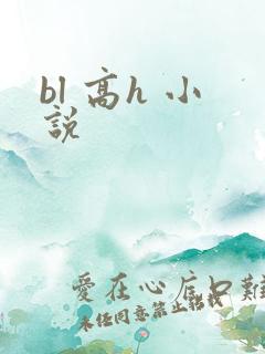 bl 高h 小说