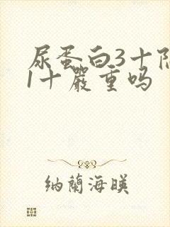 尿蛋白3十隐血1十严重吗