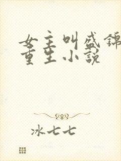 女主叫盛锦初的重生小说