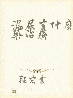 漏尿有什么中成药治疗