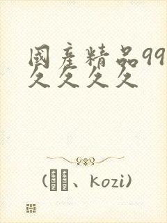 国产精品99久久久久久