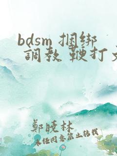 bdsm 捆绑 调教 鞭打文