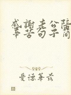 感谢老公陪护很辛苦句子简短