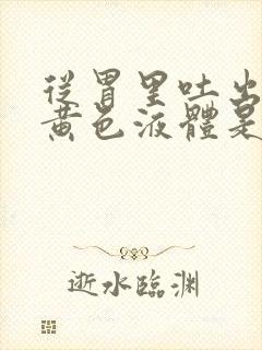 从胃里吐出来的黄色液体是什么