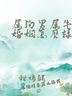 属狗男属牛女的婚姻怎么样