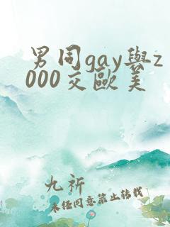 男同gay与z000交欧美