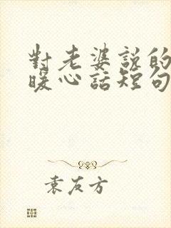 对老婆说的情话暖心话短句