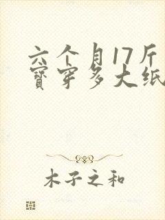 六个月17斤宝宝穿多大纸尿裤