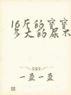 16斤的宝宝穿多大的尿不湿