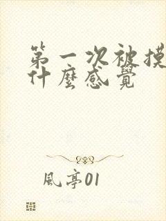 第一次被摸胸是什么感觉