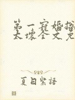 第一宠婚总裁别太坏全文免费