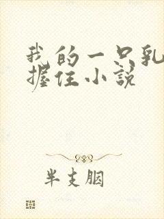 我的一只乳房被握住小说