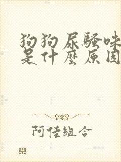 狗狗尿骚味很重是什么原因