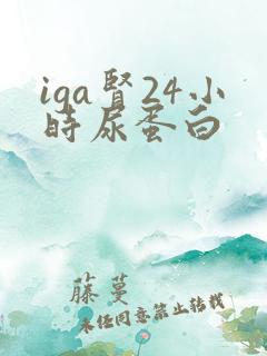 iga肾24小时尿蛋白