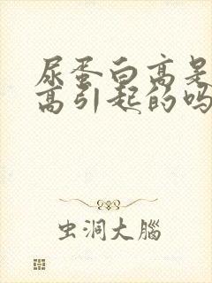 尿蛋白高是尿酸高引起的吗