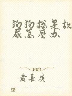 狗狗总是故意乱尿怎么办