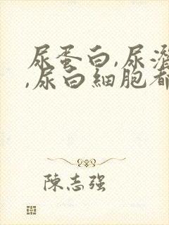 尿蛋白,尿潜血,尿白细胞都有加号