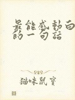 最能感动白羊男的一句话