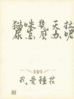 猫咪几天拉不出尿怎么办呢