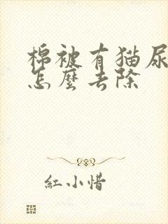 棉被有猫尿骚味怎么去除