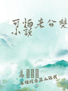 可怕老公双男主小说