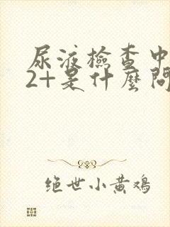 尿液检查中潜血2+是什么问题?