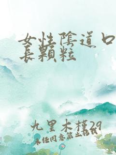 女性阴道口两边长颗粒