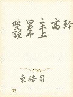 双男主高干文小说年上