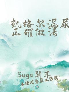 凯格尔漏尿运动正确做法