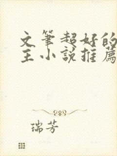 文笔超好的双男主小说推荐