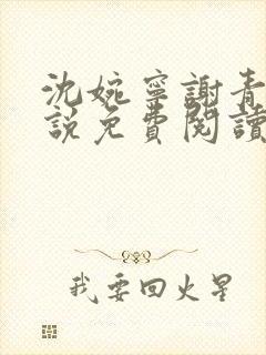 沈婉宁谢青晏小说免费阅读最新章节