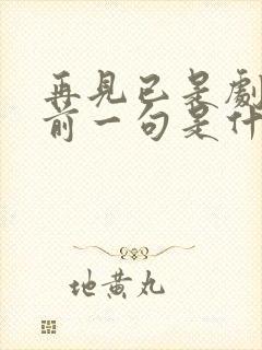 再见已是剧中人前一句是什么