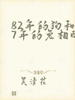 82年的狗和87年的兔相配吗