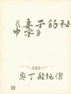 《妻子的秘密3中字》