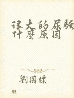 很大的尿骚味是什么原因