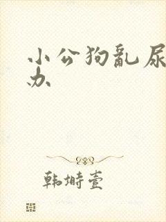 小公狗乱尿怎么办