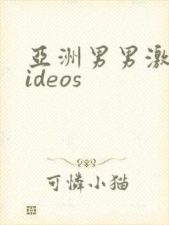 亚洲男男激情videos