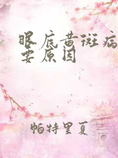 眼底黄斑病变主要原因