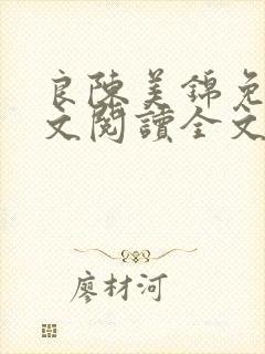 良陈美锦免费全文阅读全文