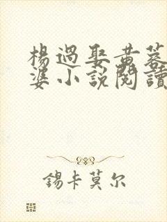 杨过娶黄蓉做老婆小说阅读