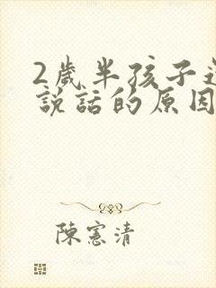 2岁半孩子还不说话的原因