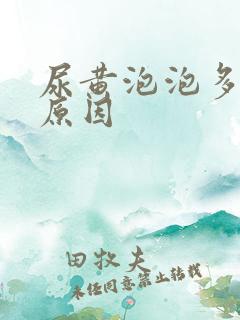 尿黄泡泡多什么原因