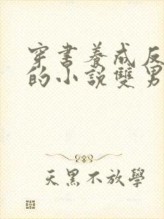 穿书养成反派类的小说双男主