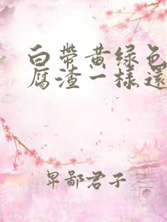 白带黄绿色跟豆腐渣一样还痒