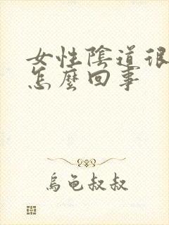 女性阴道很干是怎么回事