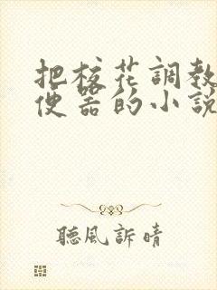 把校花调教成肉便器的小说